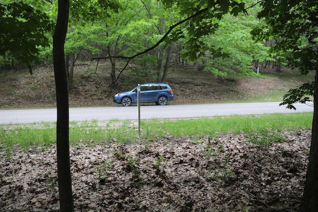 LOT20 Crystal Vw, Beulah, MI 49617