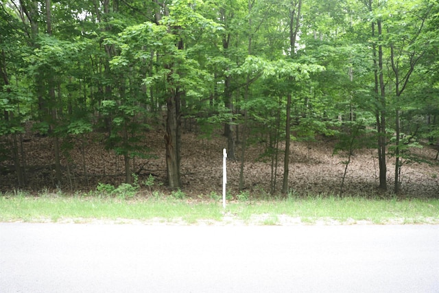 LOT20 Crystal Vw, Beulah, MI 49617