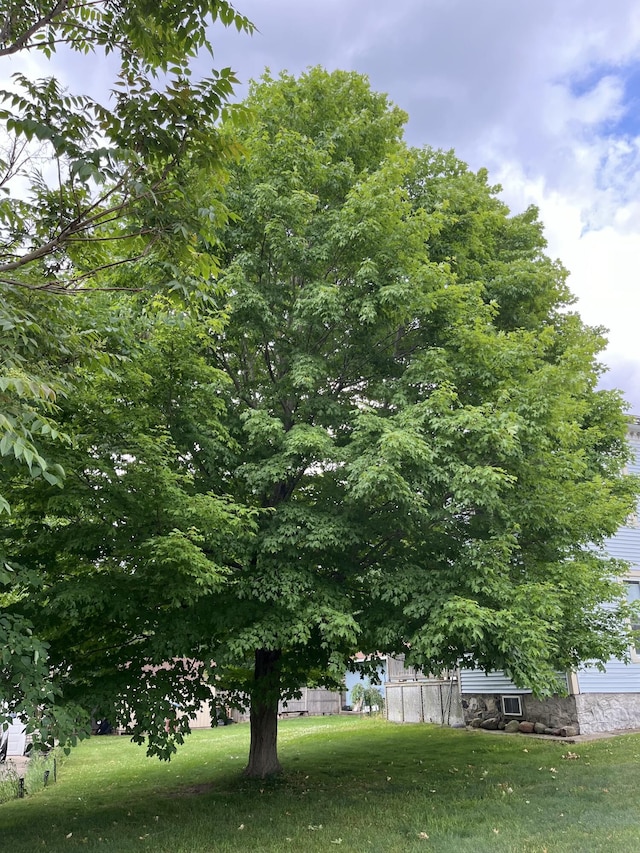 423 Oak St, Paw Paw, MI 49079 - view of green lawn