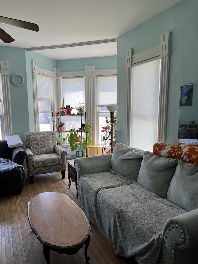 423 Oak St, Paw Paw, MI 49079 - living area with a ceiling fan and wood finished floors