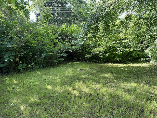 696 Highland Ave, Benton Harbor, MI 49022 - view of yard