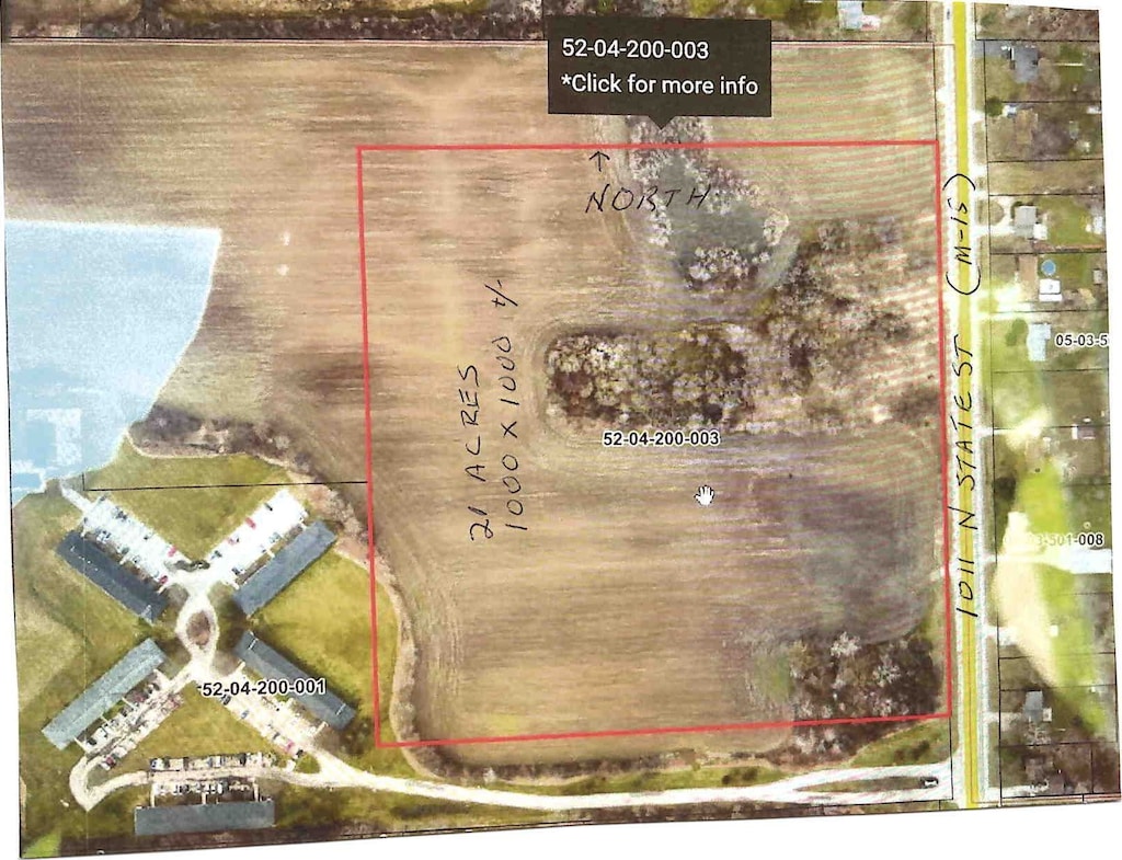 1011 N State, Davison, MI 48423 - photo 1