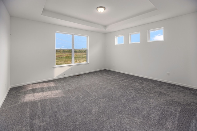 carpeted empty room featuring a tray ceiling