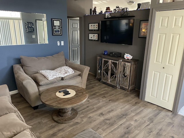 living room featuring wood-type flooring