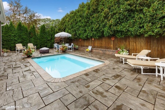 view of swimming pool with a patio