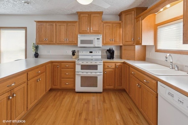kitchen with a textured ceiling, light hardwood / wood-style floors, white appliances, and sink