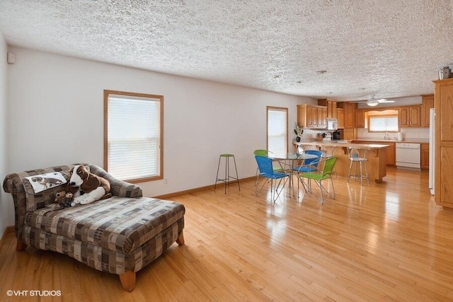 living area featuring light hardwood / wood-style flooring and a textured ceiling