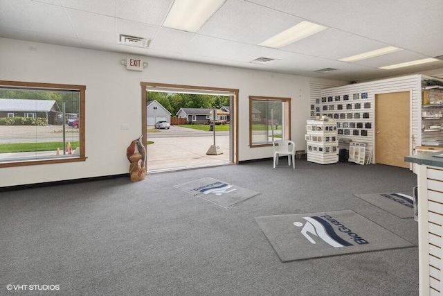 interior space with carpet and a healthy amount of sunlight