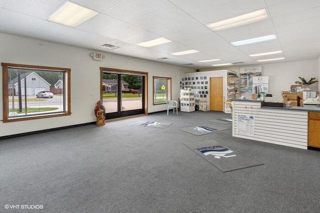 miscellaneous room with carpet floors