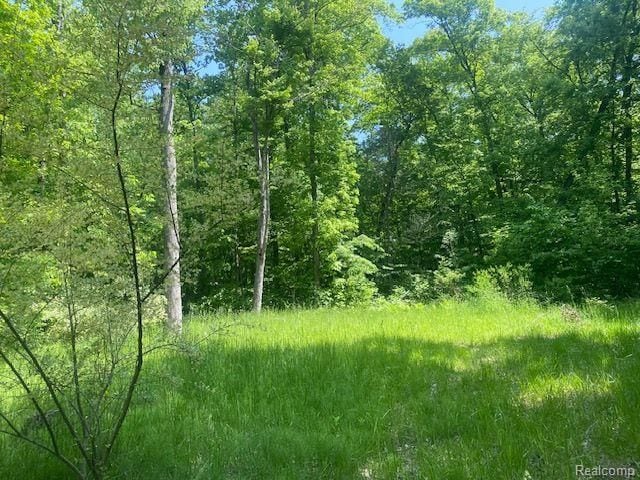 Listing photo 2 for PARCEL8 Deadwood Ln, Brighton MI 48114