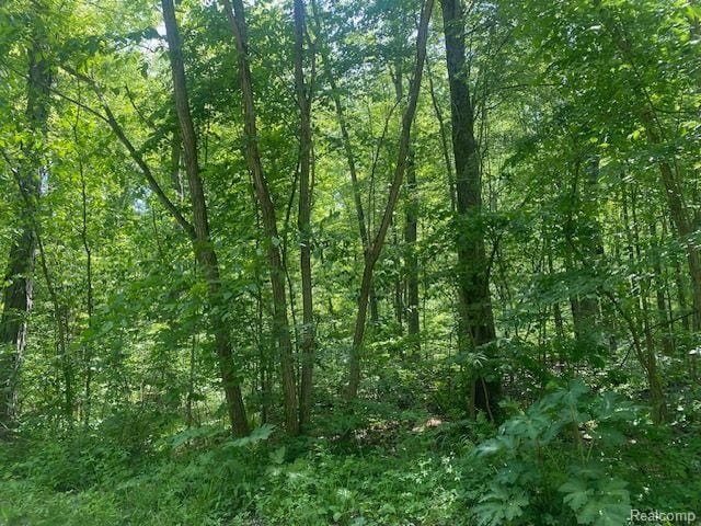 PARCEL2 Deadwood Ln, Brighton, MI 48114 - photo 2