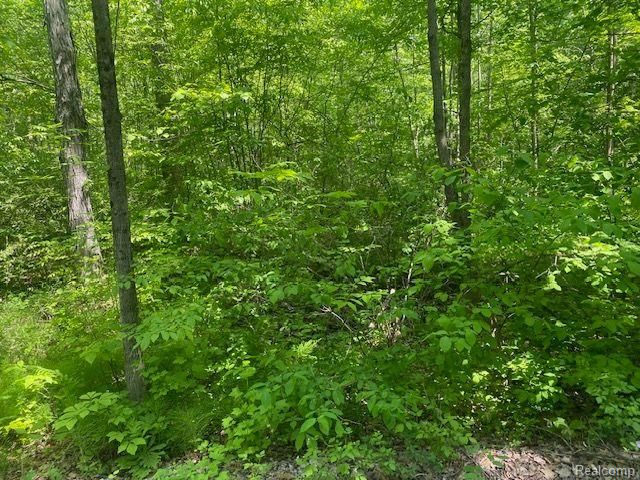 PARCEL2 Deadwood Ln, Brighton, MI 48114 - photo 3