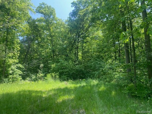 PARCEL2 Deadwood Ln, Brighton, MI 48114 - photo 6