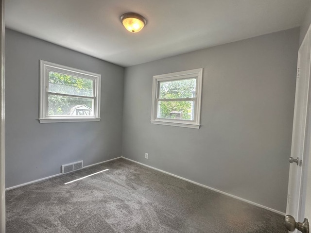 carpeted spare room with a wealth of natural light