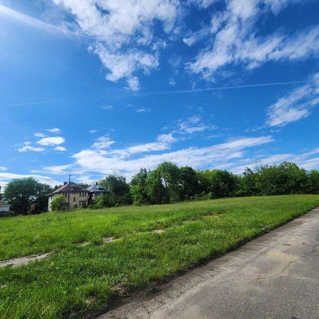 5040 Fernwood St, Detroit, MI 48204 - photo 4