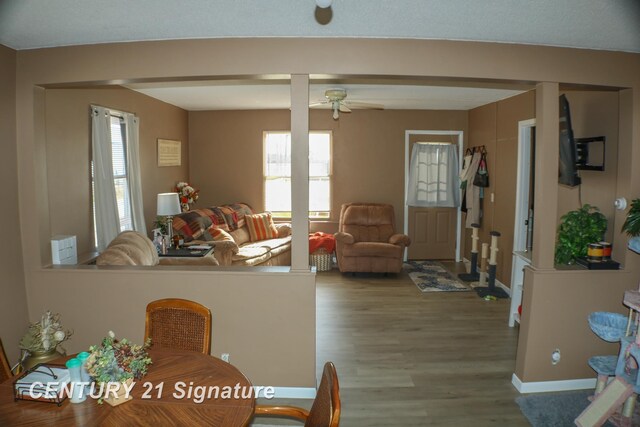 living room featuring ceiling fan and light wood-type flooring