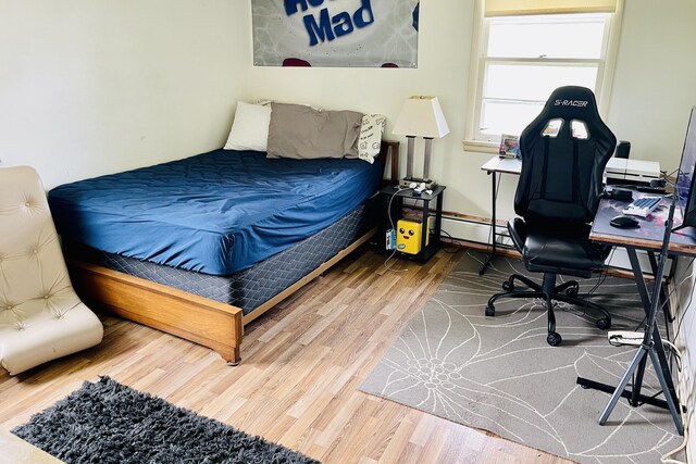 bedroom featuring wood-type flooring