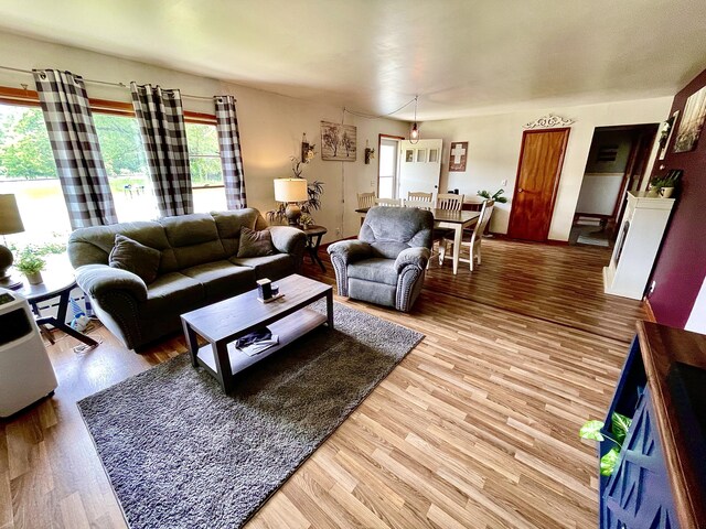 living room featuring hardwood / wood-style floors