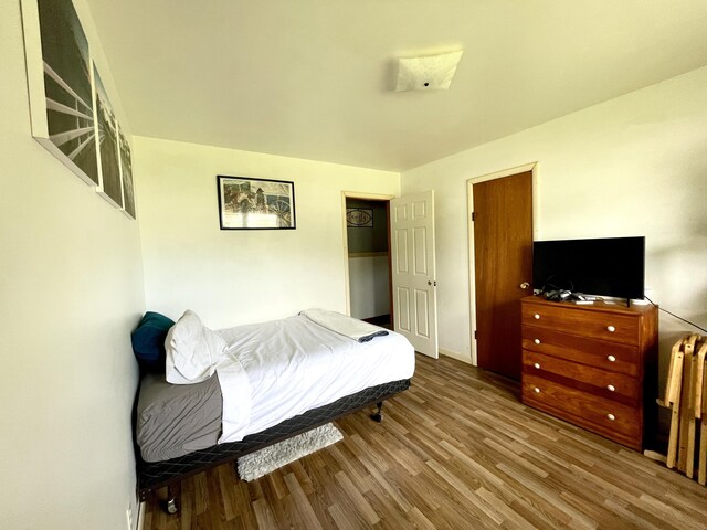 bedroom featuring wood-type flooring