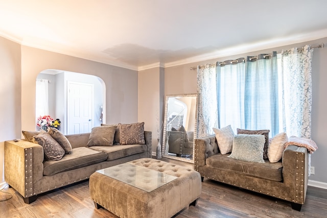 living room featuring hardwood / wood-style flooring and ornamental molding