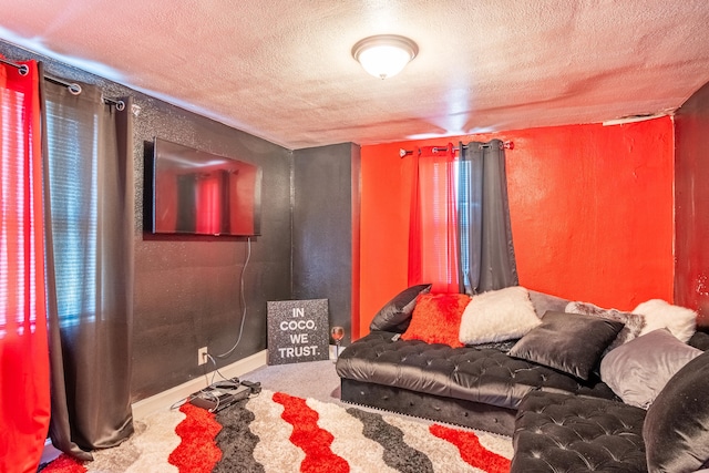 living room featuring a textured ceiling and carpet flooring