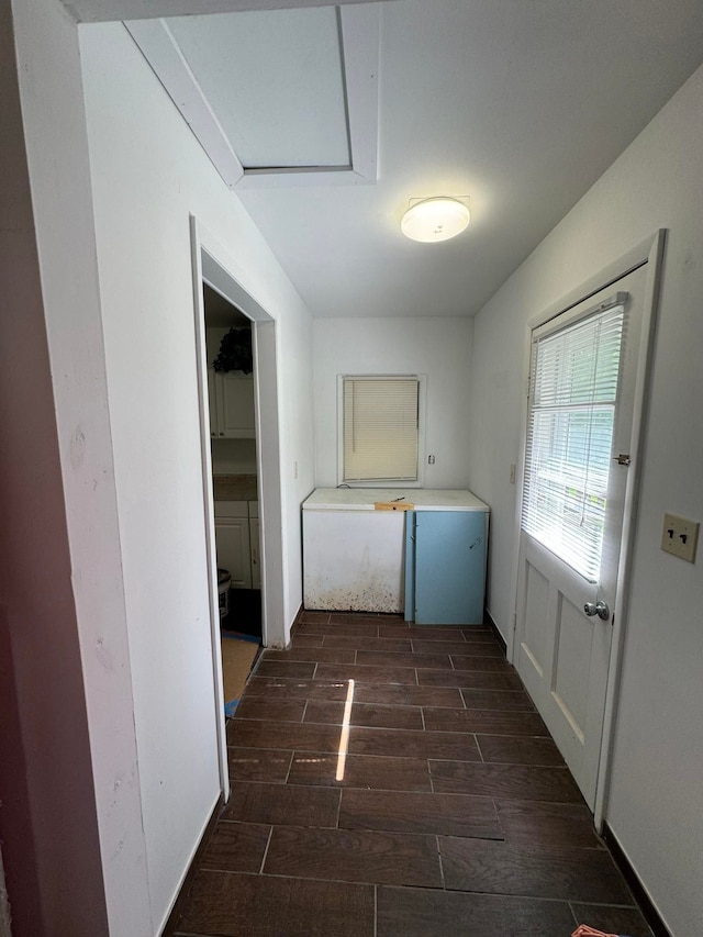 laundry area featuring dark wood-type flooring