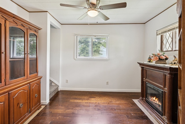 interior space with plenty of natural light, ceiling fan, crown molding, and dark wood-type flooring