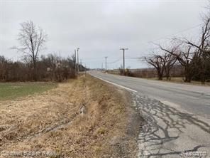 00000 N Dixie, Newport, MI 48166