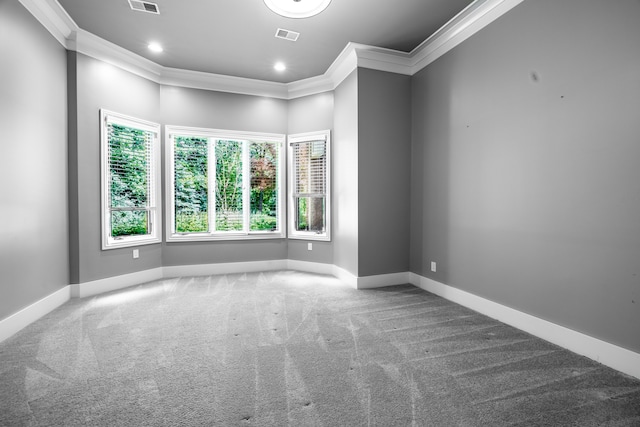 carpeted empty room featuring ornamental molding