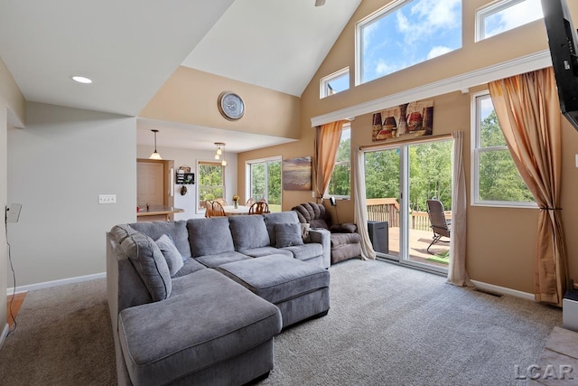 living room featuring carpet floors and a high ceiling