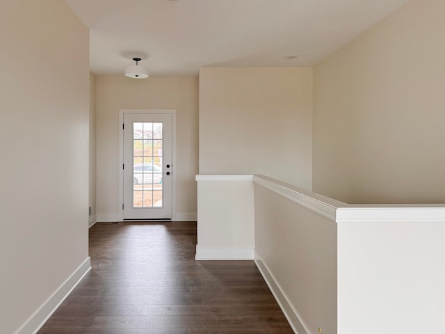 doorway featuring dark wood-type flooring