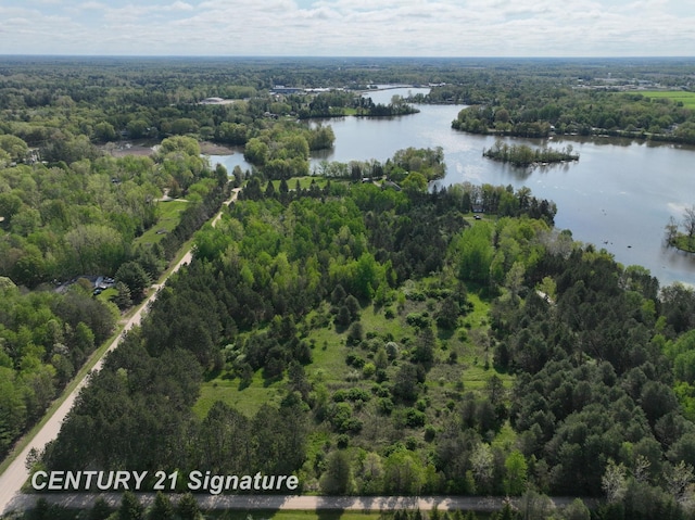 W Lang Rd, Beaverton, MI 48612 - photo 8