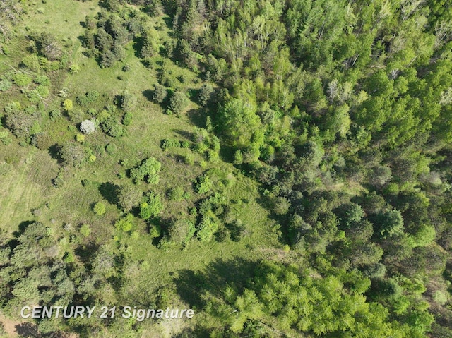 W Lang Rd, Beaverton, MI 48612 - photo 5