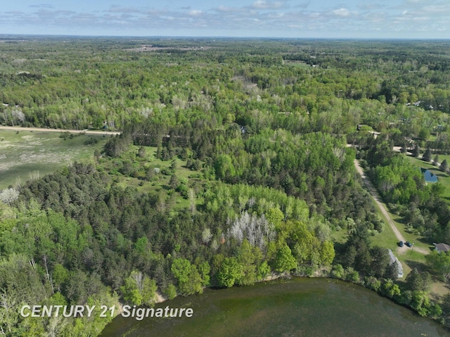 W Lang Rd, Beaverton MI, 48612 land for sale