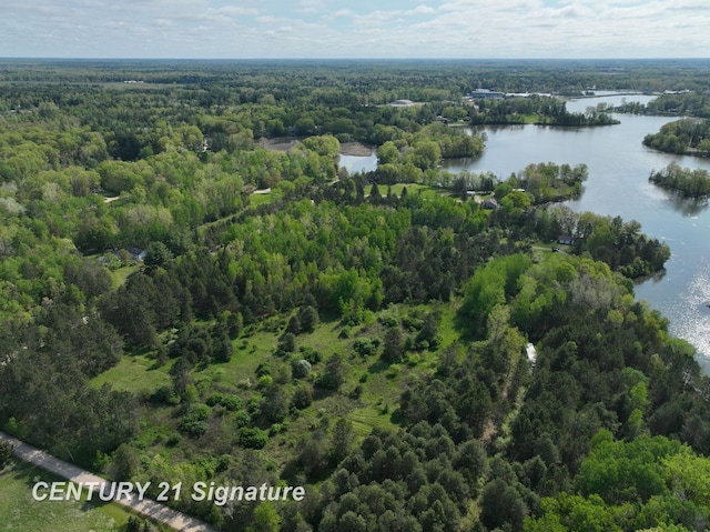 W Lang Rd, Beaverton, MI 48612 - photo 3