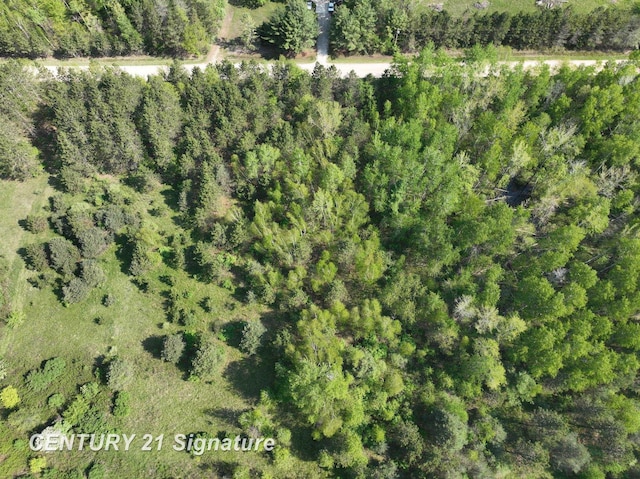 W Lang Rd, Beaverton, MI 48612 - photo 6