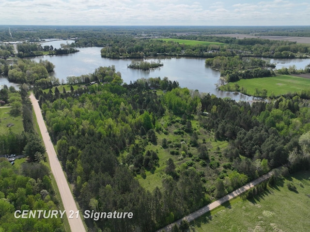 W Lang Rd, Beaverton, MI 48612 - photo 9