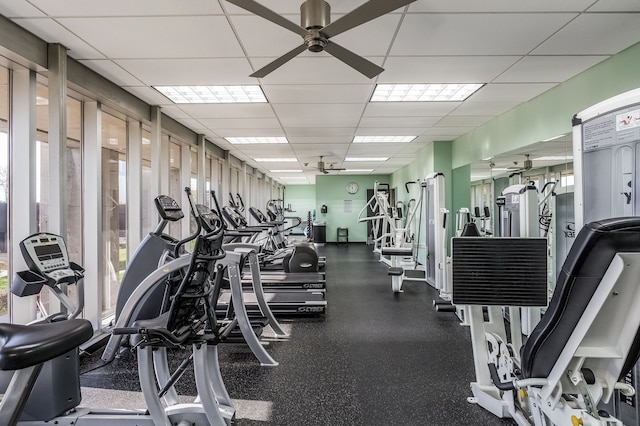 gym featuring ceiling fan and a drop ceiling