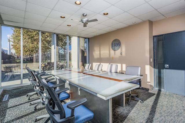 carpeted office with a paneled ceiling, expansive windows, and ceiling fan