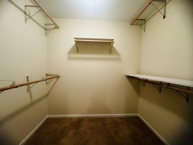 spacious closet featuring carpet floors