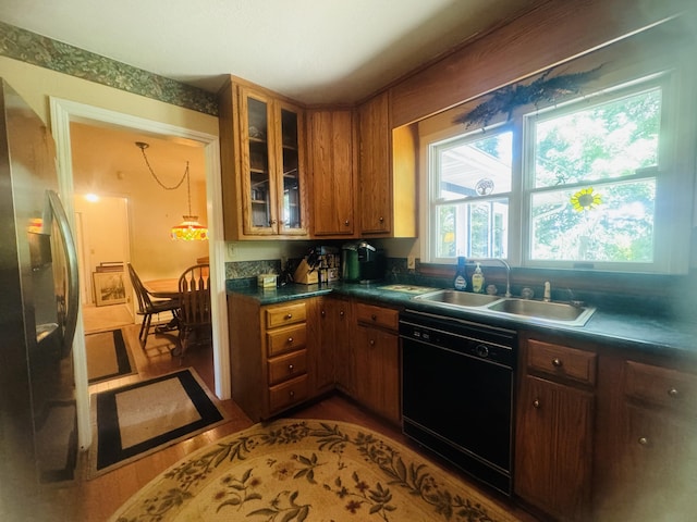 kitchen with dark hardwood / wood-style flooring, stainless steel fridge, sink, and black dishwasher