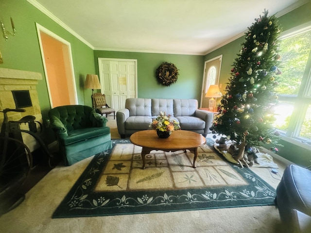 living room featuring ornamental molding