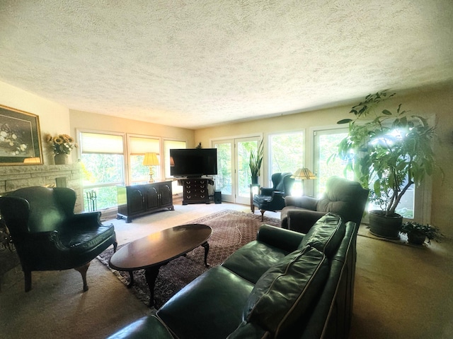 living room with carpet floors, a healthy amount of sunlight, and a textured ceiling