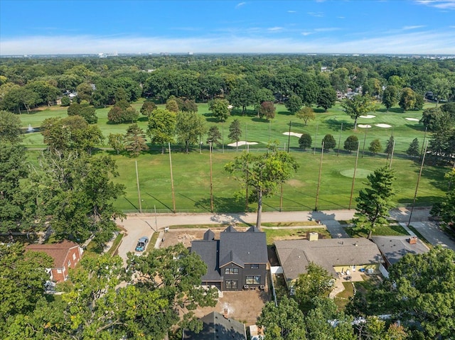 bird's eye view