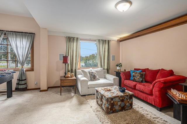 living room with carpet floors and a wealth of natural light