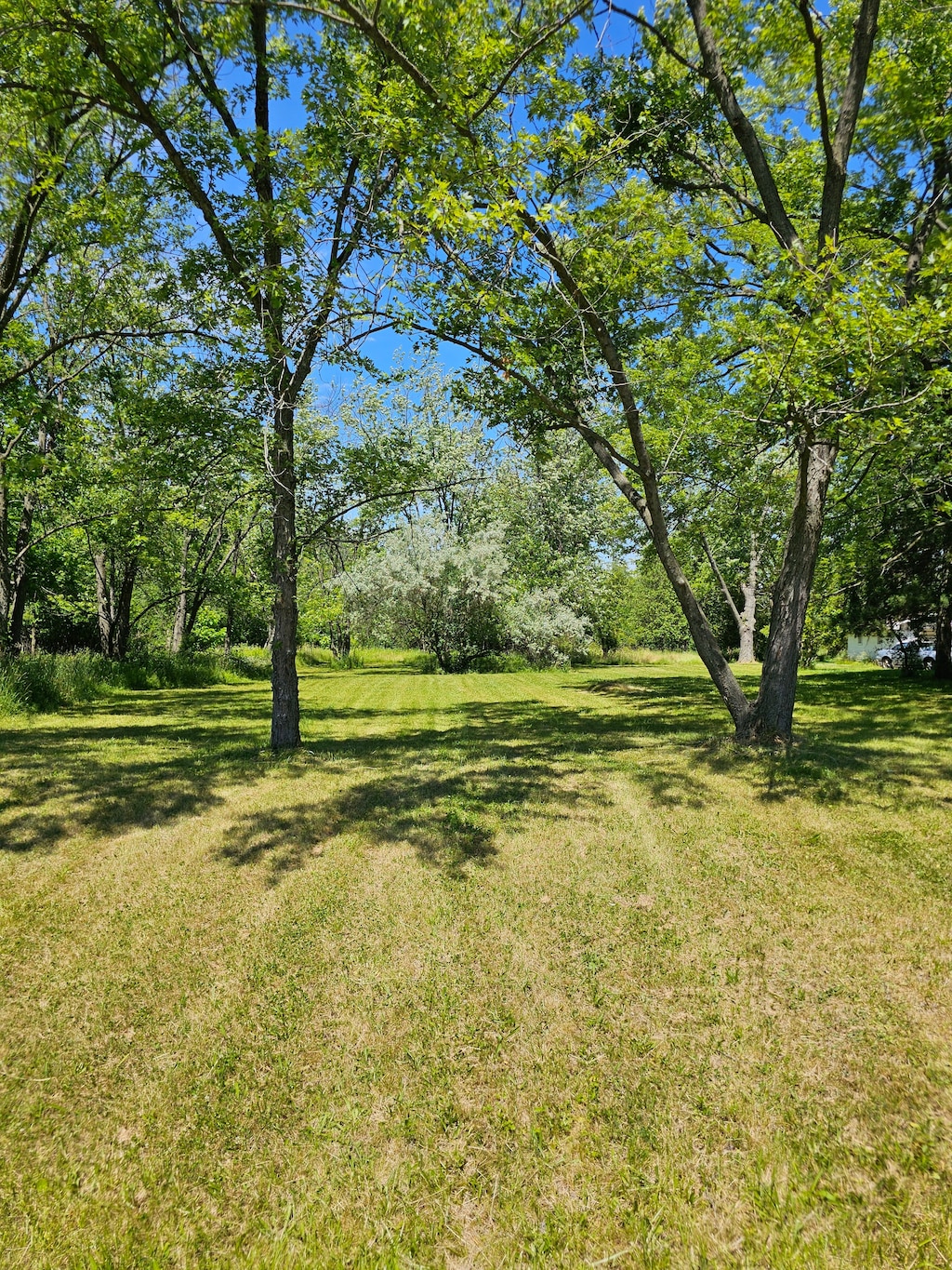 GrahamRd Graham Road, Flint, MI 48532