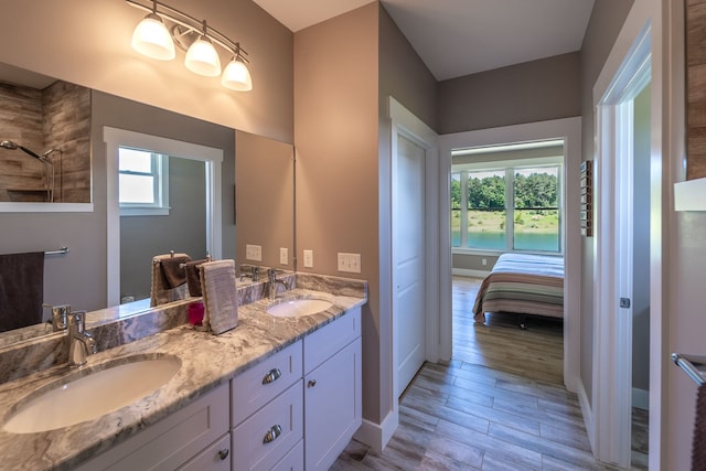 bathroom with hardwood / wood-style flooring, vanity, and a healthy amount of sunlight