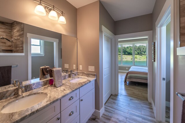 829 N Van Dyke Rd, Imlay City, MI 48444 - ensuite bathroom featuring double vanity, plenty of natural light, wood finished floors, and baseboards