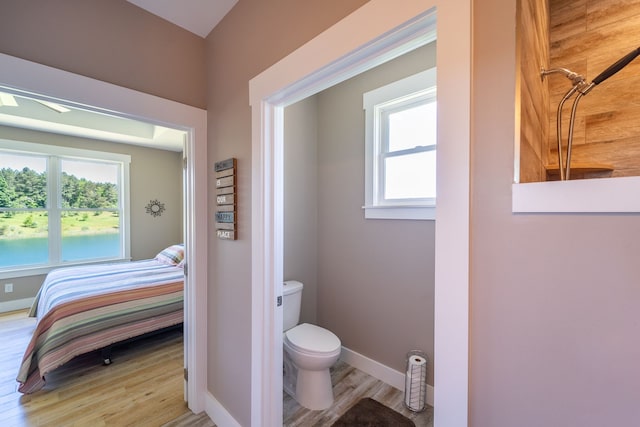 bathroom with toilet and wood-type flooring