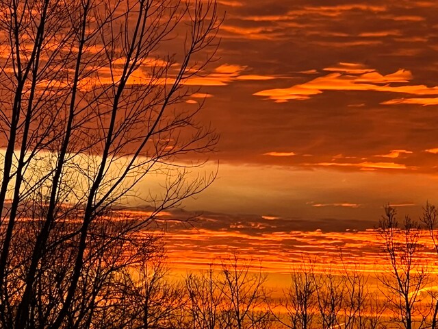 829 N Van Dyke Rd, Imlay City, MI 48444 - view of nature at dusk